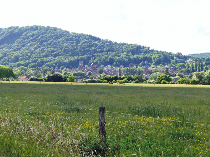 Vue sur le village - Neuwiller-lès-Saverne