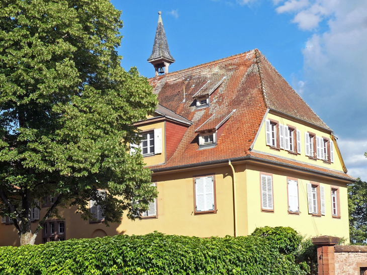 Dans le village - Neuwiller-lès-Saverne