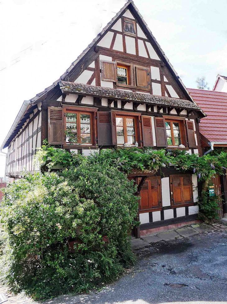 Maison dans le village - Oberbronn