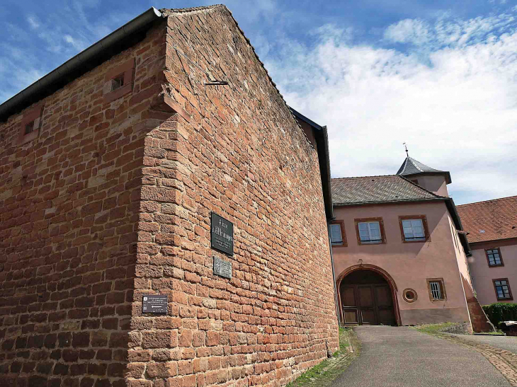 Le château des Comtes de Leiningen-Westerbourg 1554 - Oberbronn