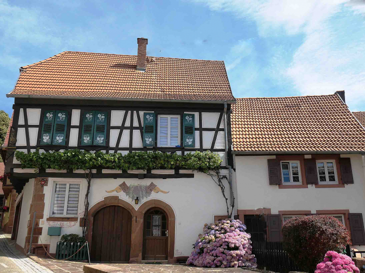 Maison vigneronne de 1572 - Oberbronn