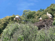 Photo précédente de Oberbronn cigognes dans les arbres