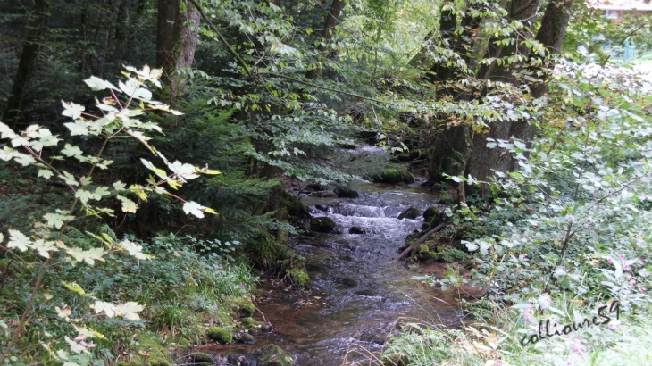 Cascade de Nideck ( très belle randonnée ) - Oberhaslach