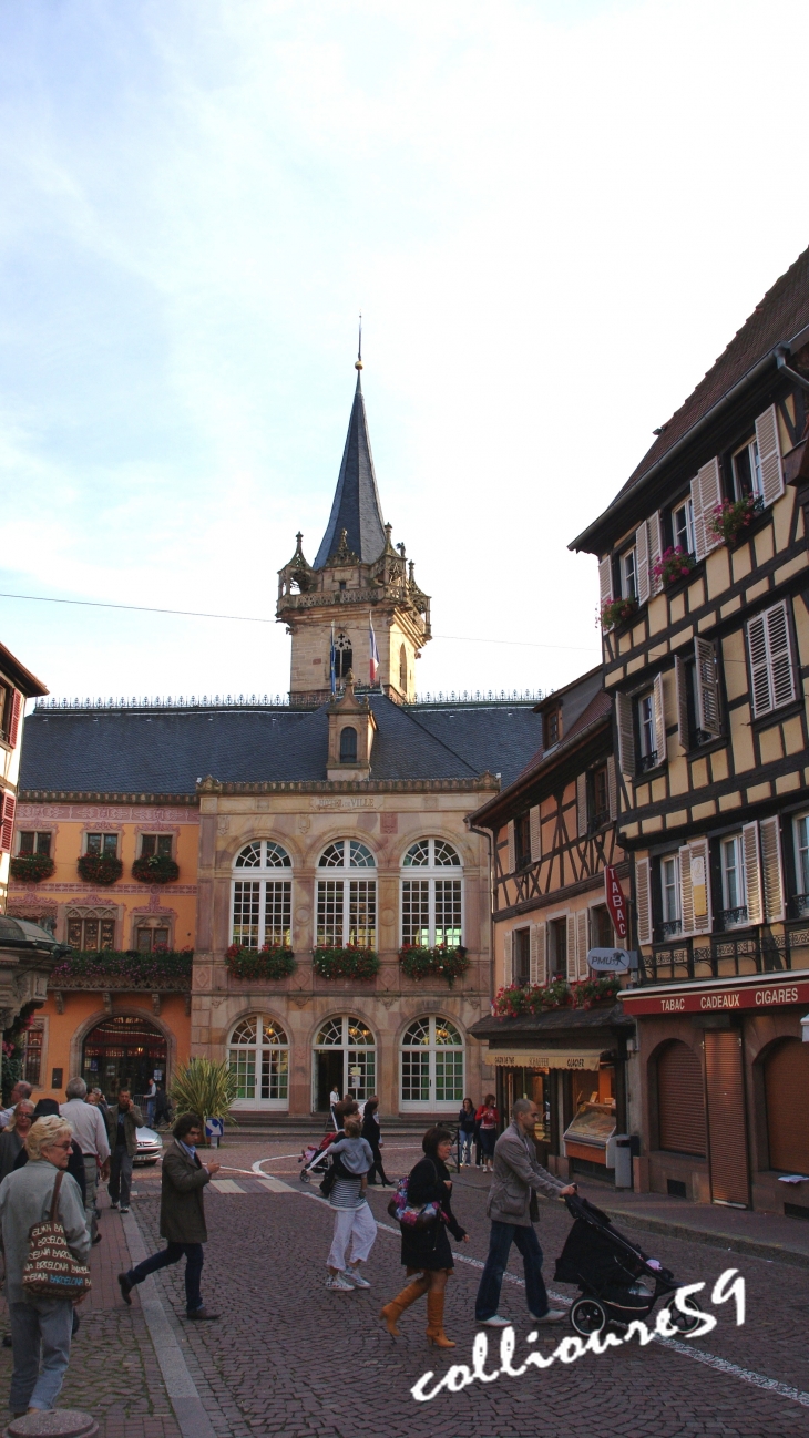 La Mairie - Obernai