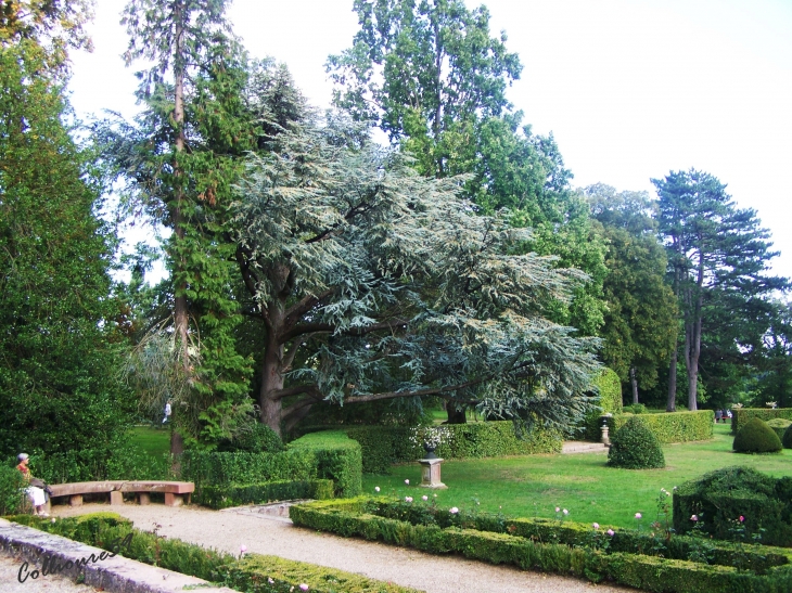 Chateau de Léonardsau - Obernai