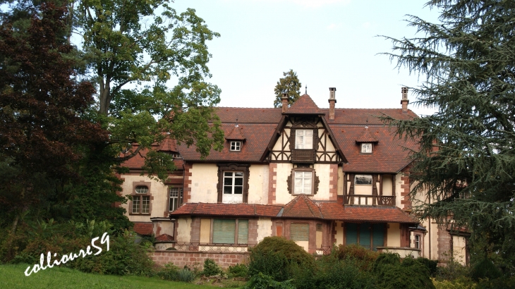 Chateau de Léonardsau - Obernai