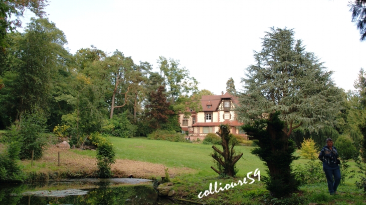 Chateau de Léonardsau - Obernai