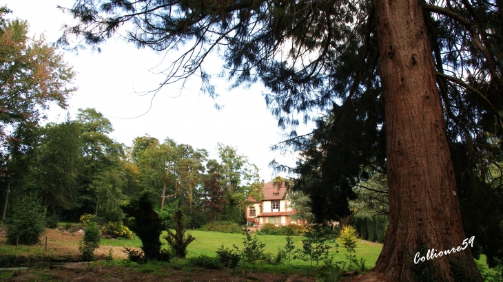 Chateau de Léonardsau - Obernai