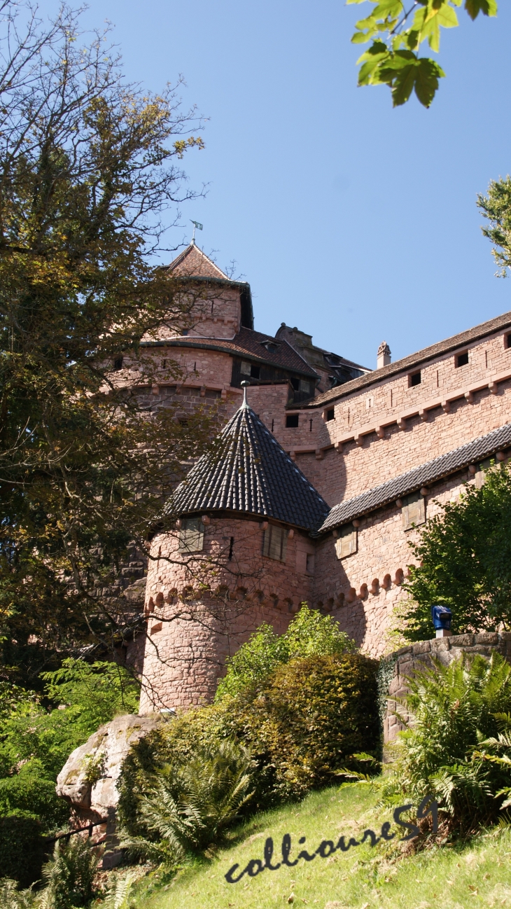 Chateau du Haut Koenigsbourg - Orschwiller