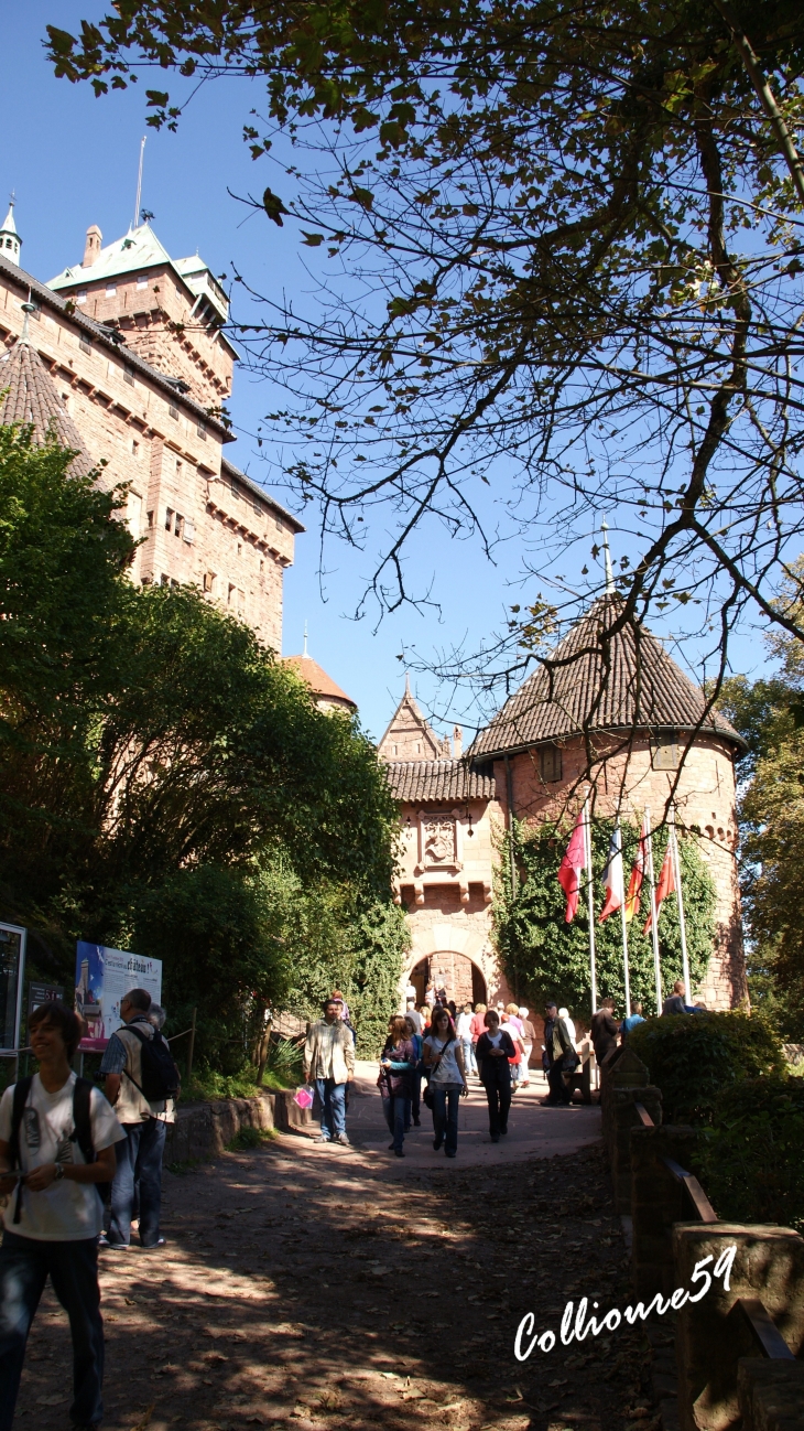 Chateau du Haut Koenigsbourg - Orschwiller