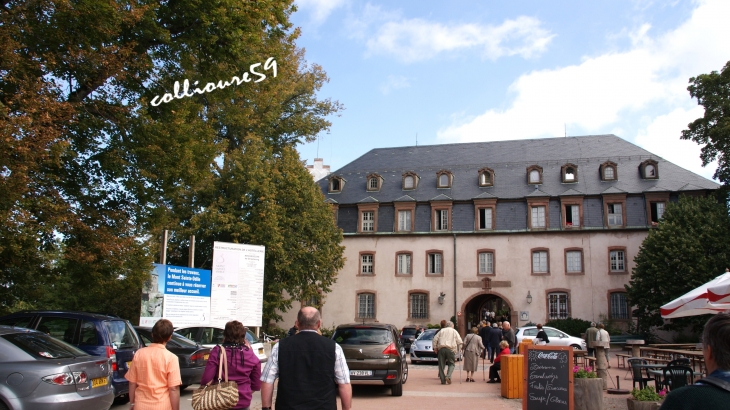 Le Mont Sainte Odile - Ottrott