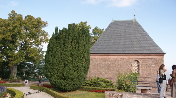 Le Mont Sainte Odile - Ottrott