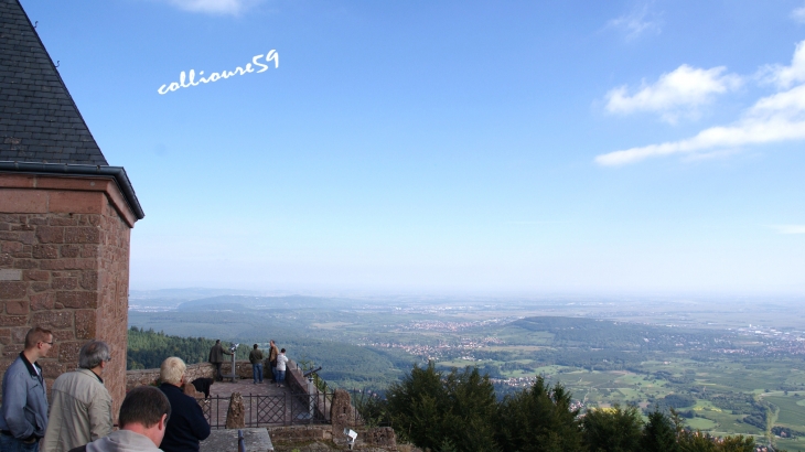 Le Mont Sainte Odile - Ottrott