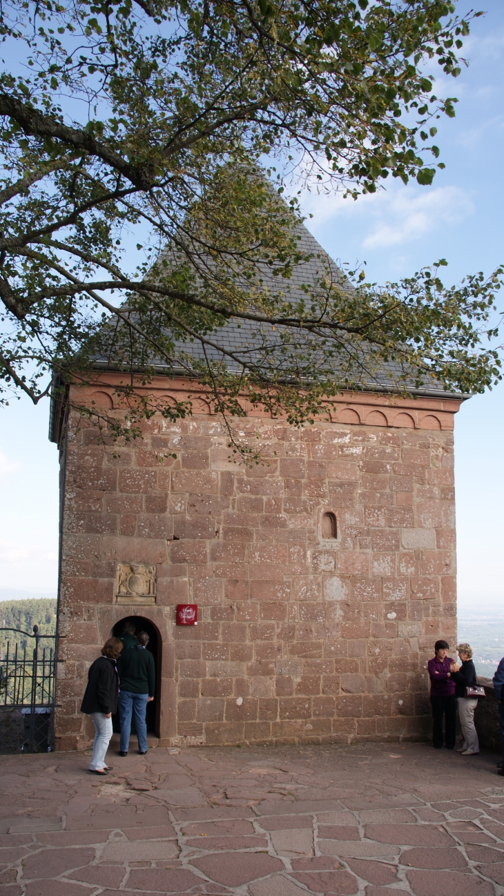 Le Mont Sainte Odile - Ottrott