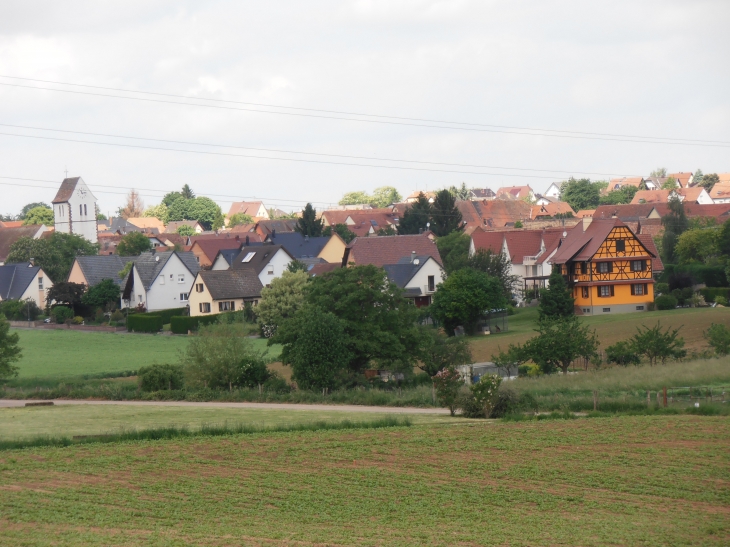 Vue générale - Pfettisheim