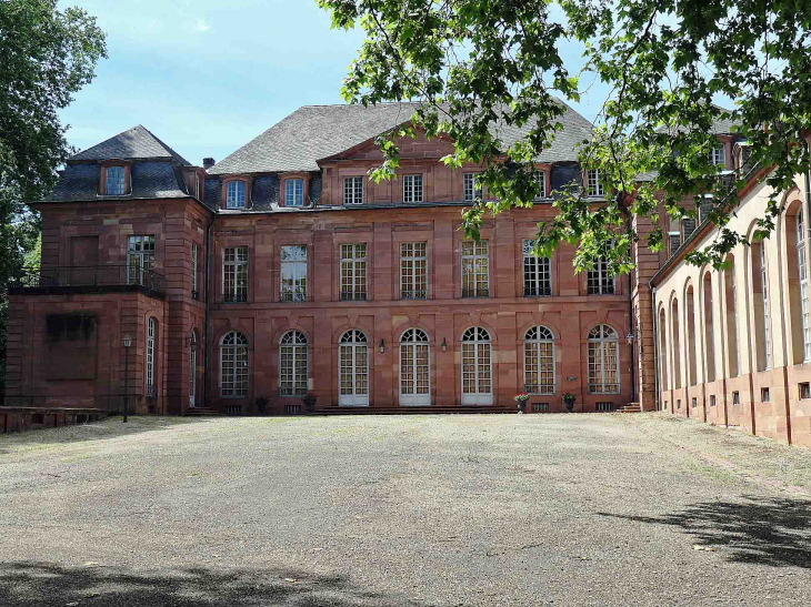 Le château siège de l'entreprise De Dietrich - Reichshoffen