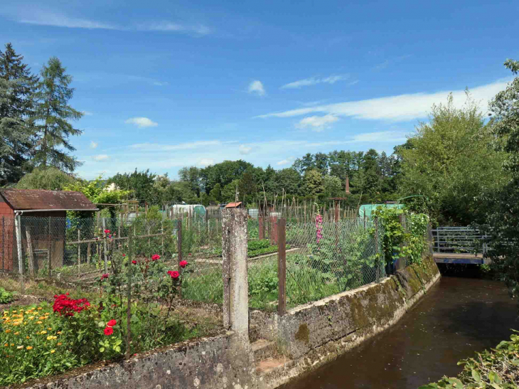 Jardins ouvriers sur la berge du Schwarzbach - Reichshoffen