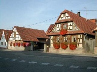 Maison fleurie a Riedseltz