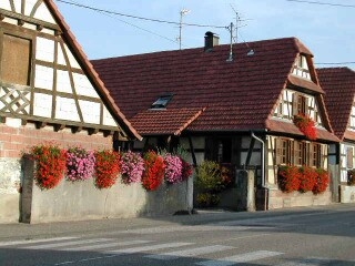 Maisons fleuries - Riedseltz