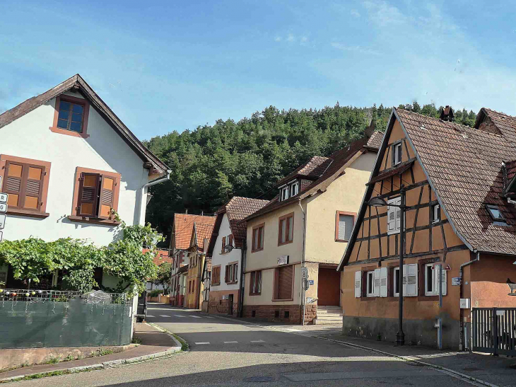 Maisons du village - Rothbach