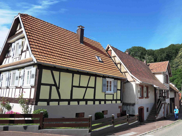 Maisons du village - Rothbach