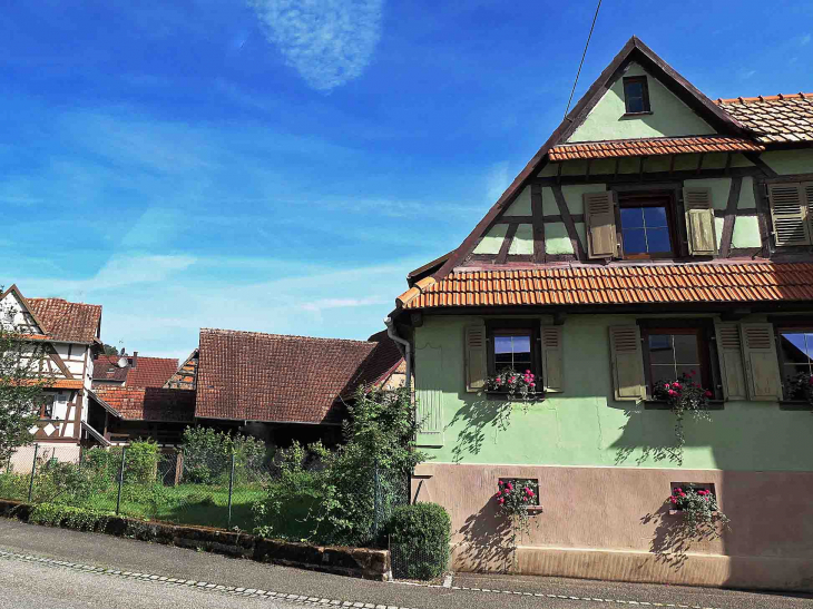 Maisons du village - Rothbach