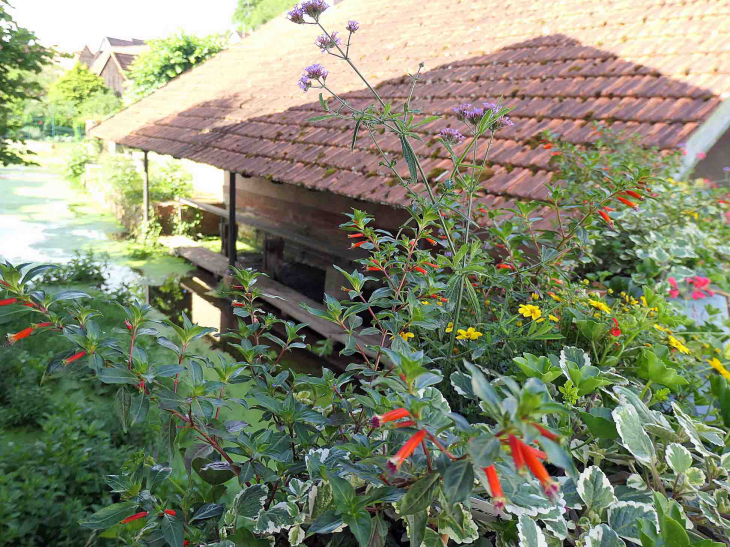 Le lavoir - Rothbach