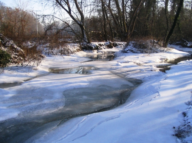 La Lauter gelée - Salmbach