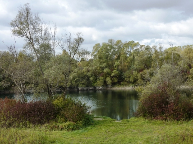 Etang dans la forêt - Salmbach