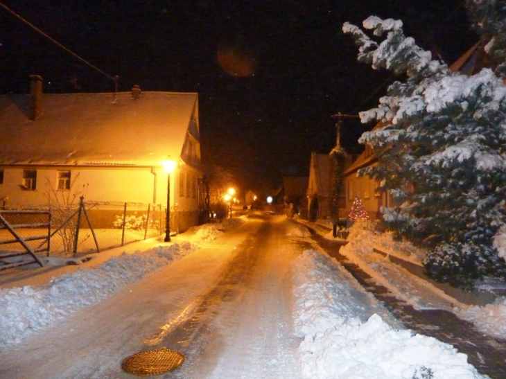 Rue de la Forêt - Salmbach