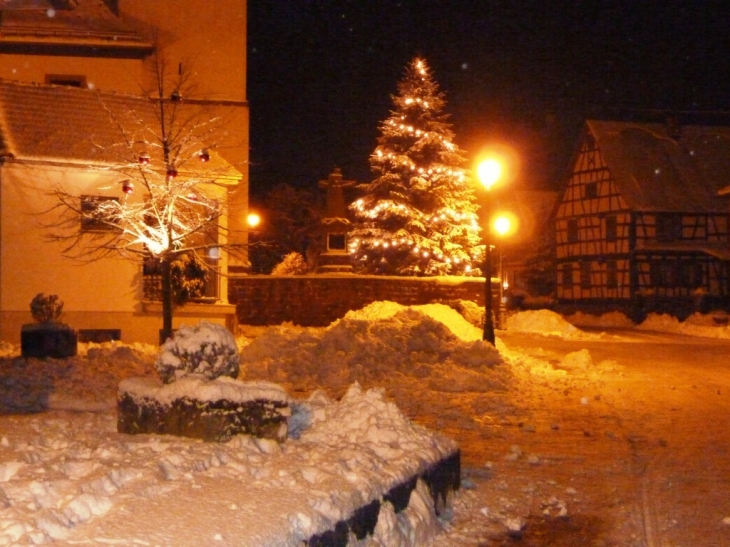 Sapin illuminé - Salmbach