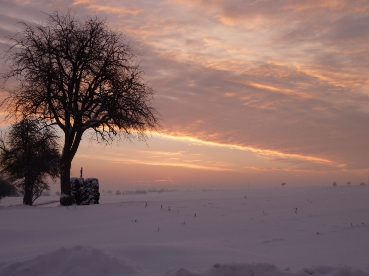 Le soleil se lève à Salmbach