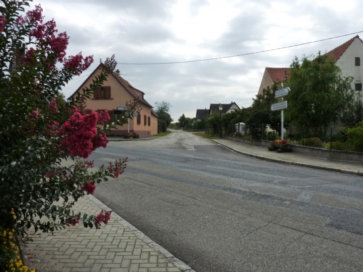 Salmbach Croisement Oberlauterbach