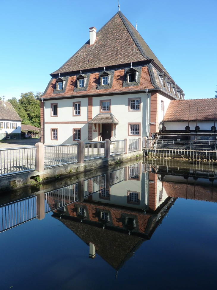 Reflets Bienwaldmühle - Salmbach