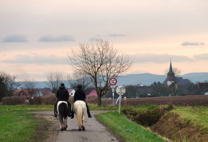 Promenade à cheval en direction de Salmbach