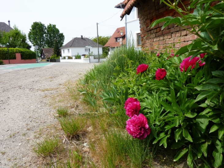 Rue des Prés Crédit: Yolande Hickel - Salmbach