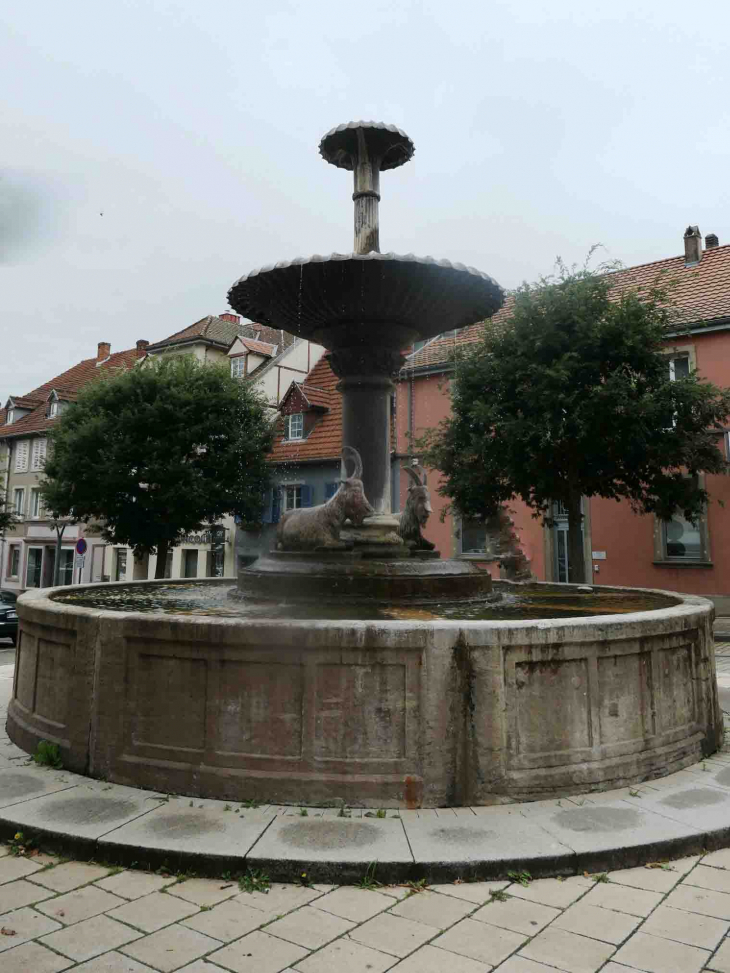 La fontaine aux boucs - Sarre-Union