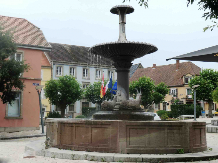 La fontaine aux boucs - Sarre-Union