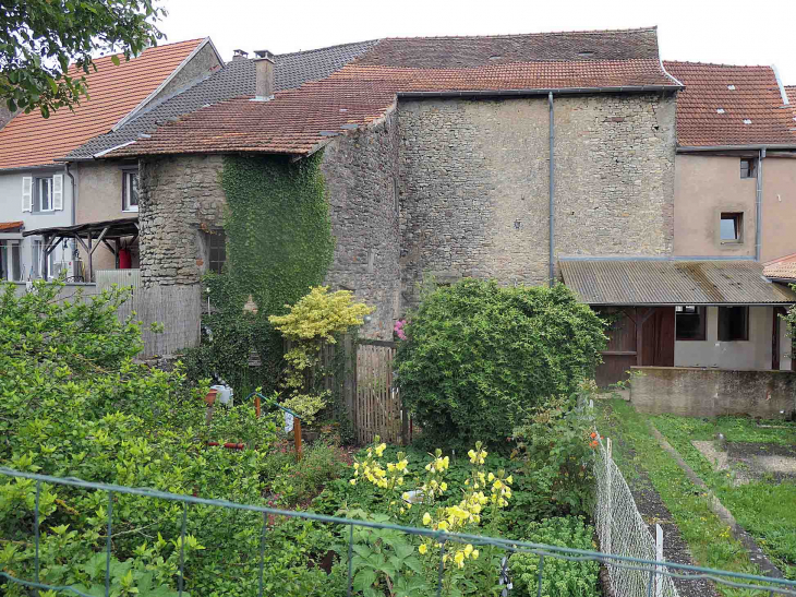 Jardins derrière les maisons - Sarre-Union