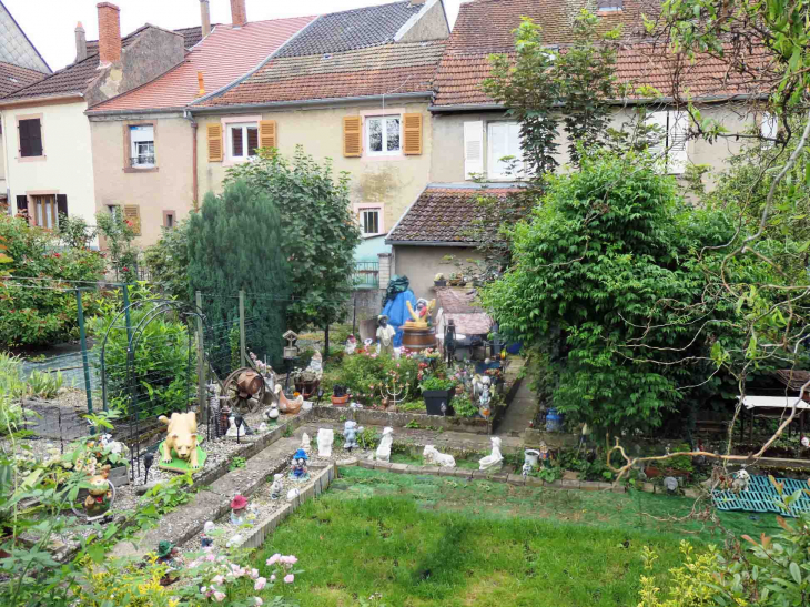 Jardin derrière les maisons - Sarre-Union