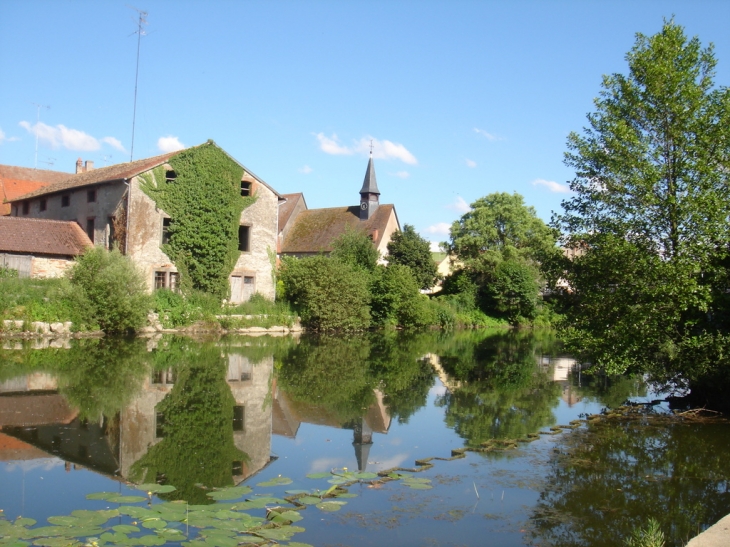 La Sarre et la collégiale(Eglise) - Sarrewerden