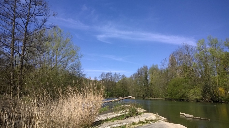 La Sarre(rivière du village) - Sarrewerden