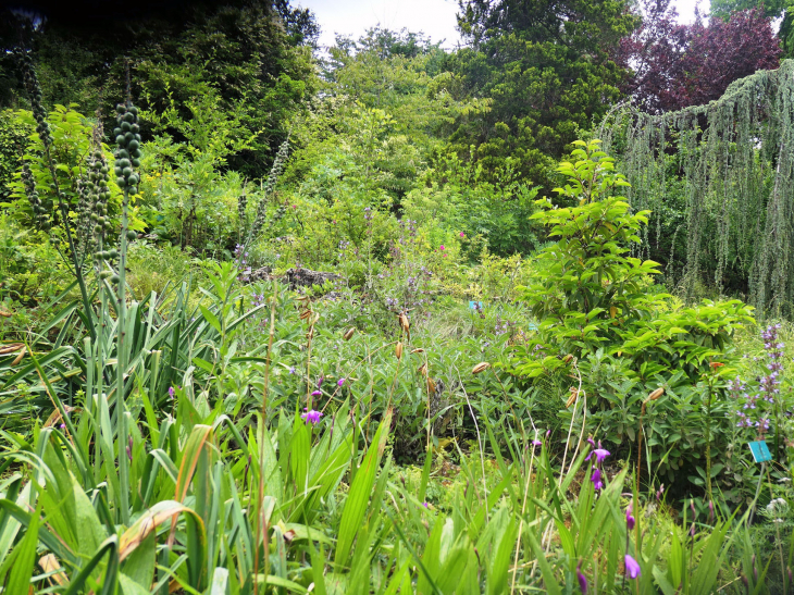 Le jardin botanique du Col de Saverne