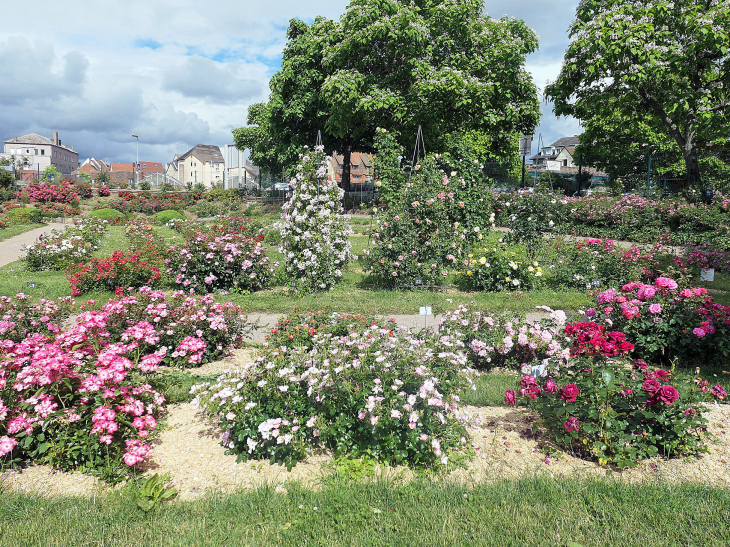 La roseraie - Saverne