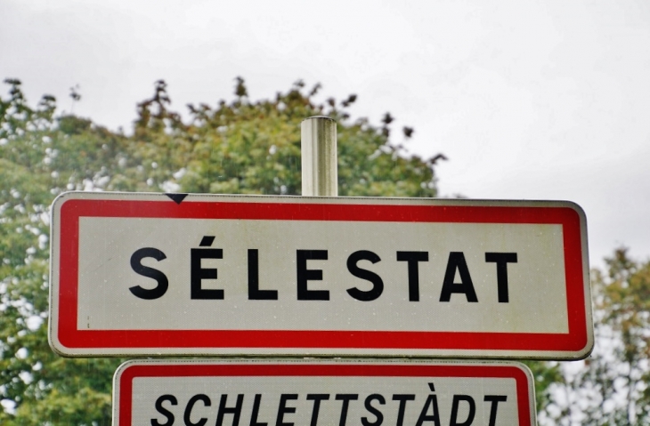  - Sélestat