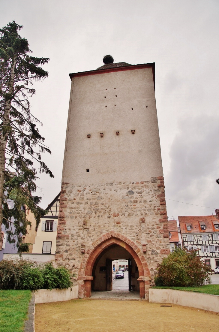 La Tour des Sorcières  - Sélestat