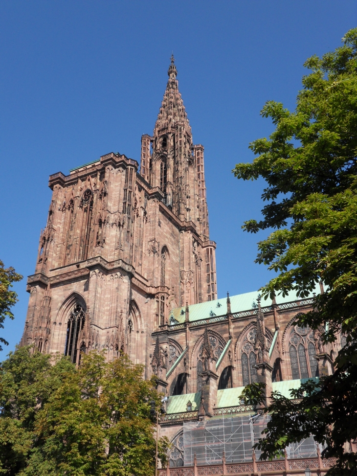 La cathédrale de Strasbourg