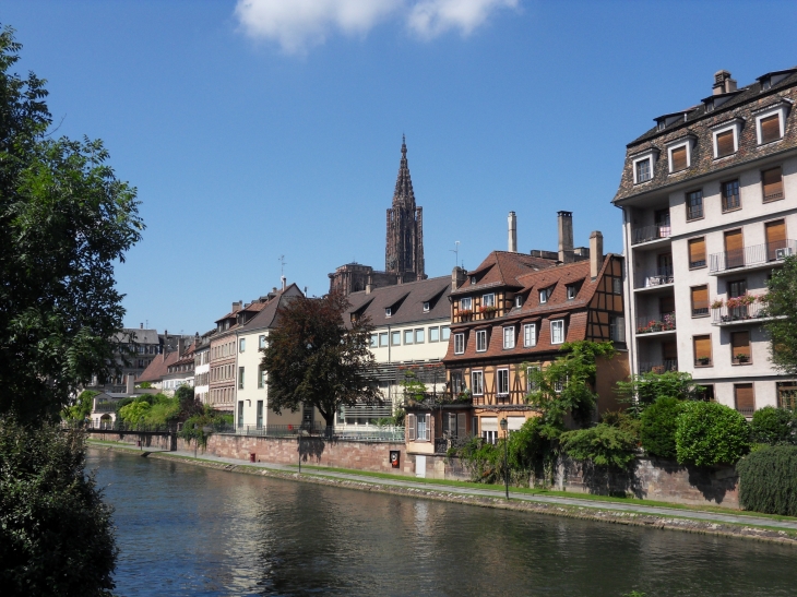 Le long de l'Ill - Strasbourg