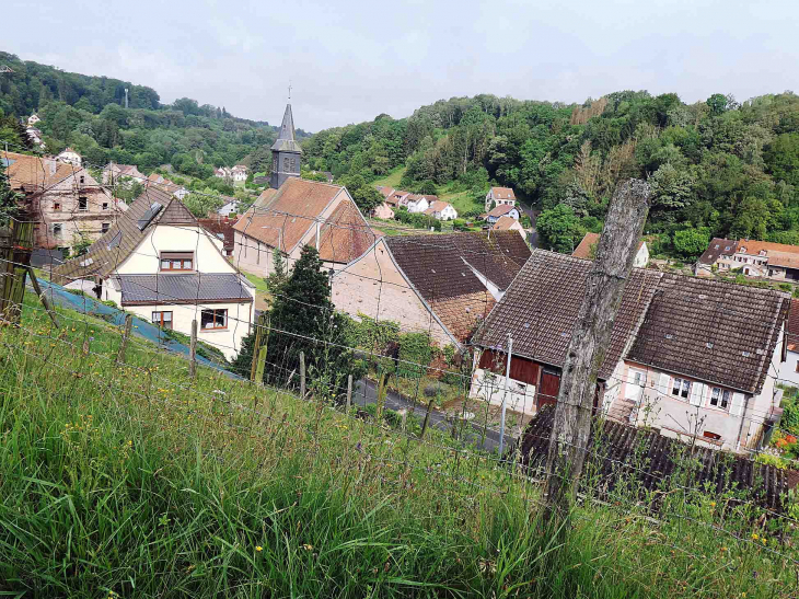 Vue sur le village - Tieffenbach