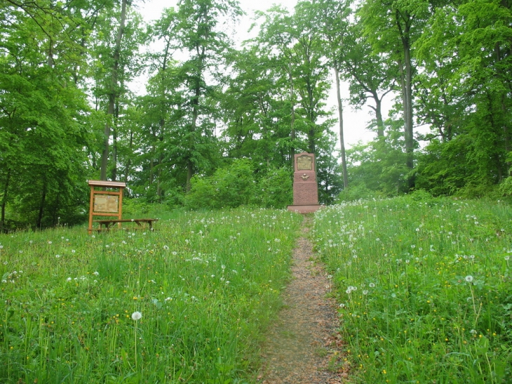 Monuments comemoratif PILATRE DE ROZIER - Vœllerdingen